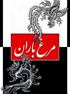 مرغ باران