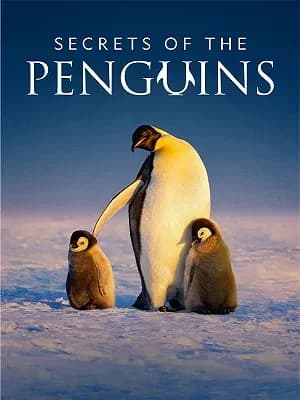 Secrets of the Penguins