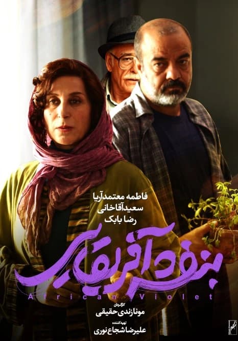 بنفشه آفریقایی