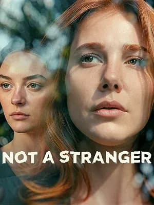 Not a Stranger