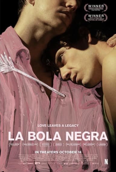 La bola negra