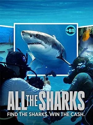 All the Sharks