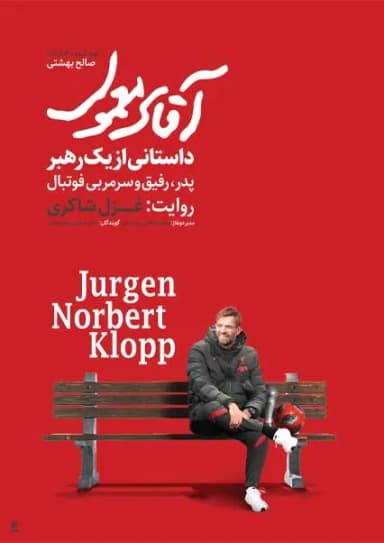 آقای معمولی