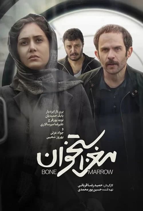 مغز استخوان