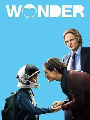 Wonder