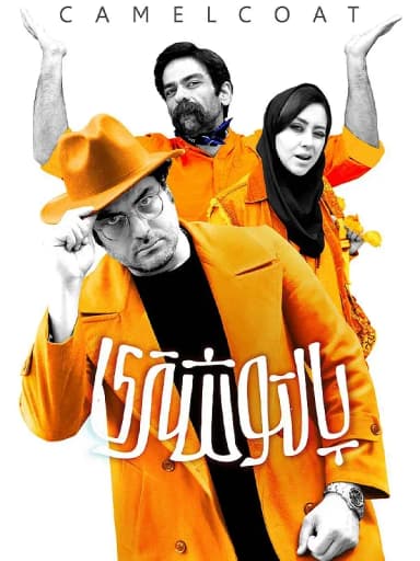  پالتو شتری
