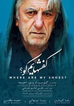 کفش هایم کو