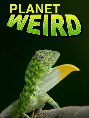 Planet Weird