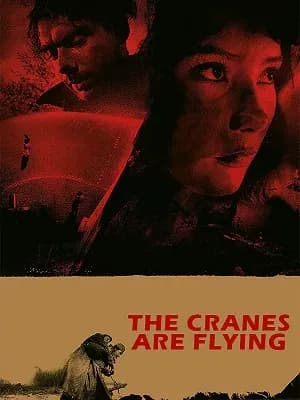 The Cranes Are Flying