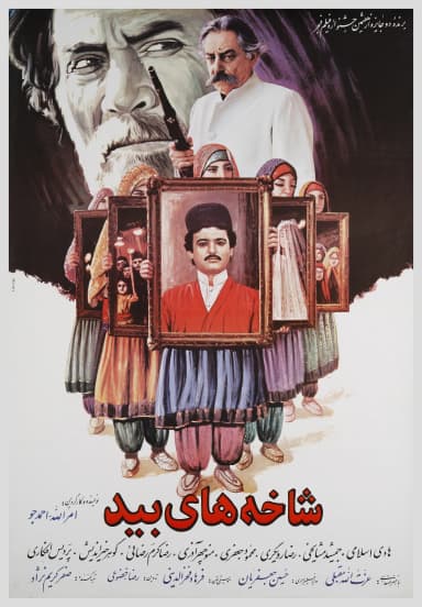 شاخه های بید