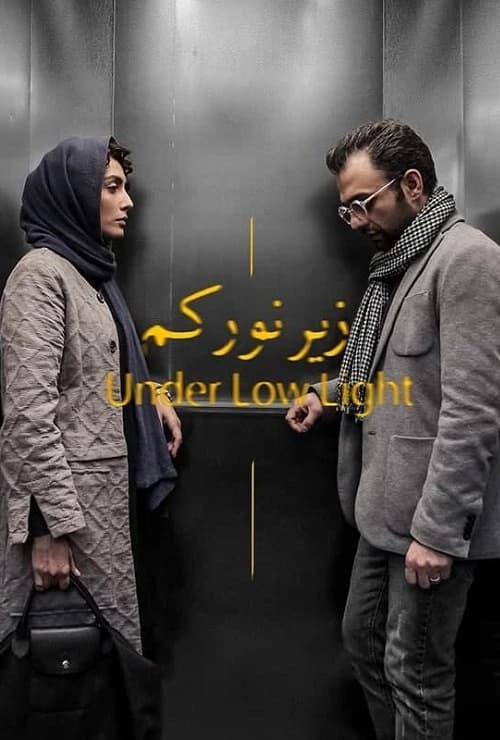 زیر نور کم