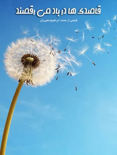 قاصدکها در باد می رقصند