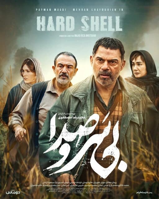 بی سر و صدا