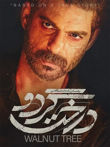 درخت گردو