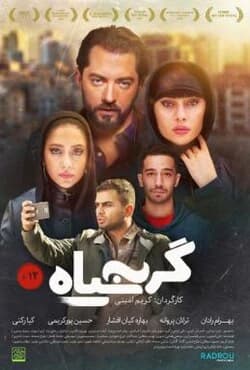 گربه سیاه